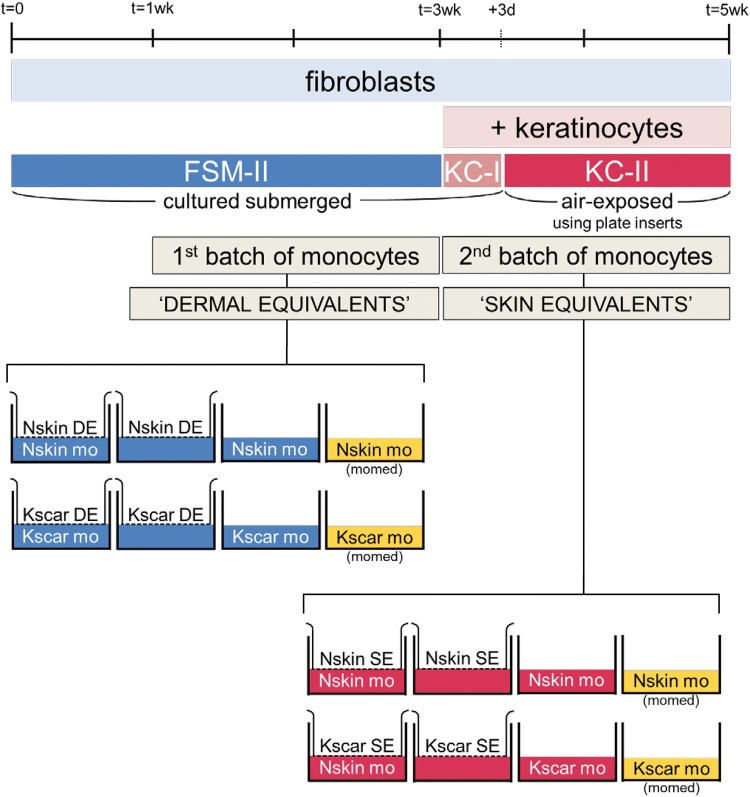 Fig. 1