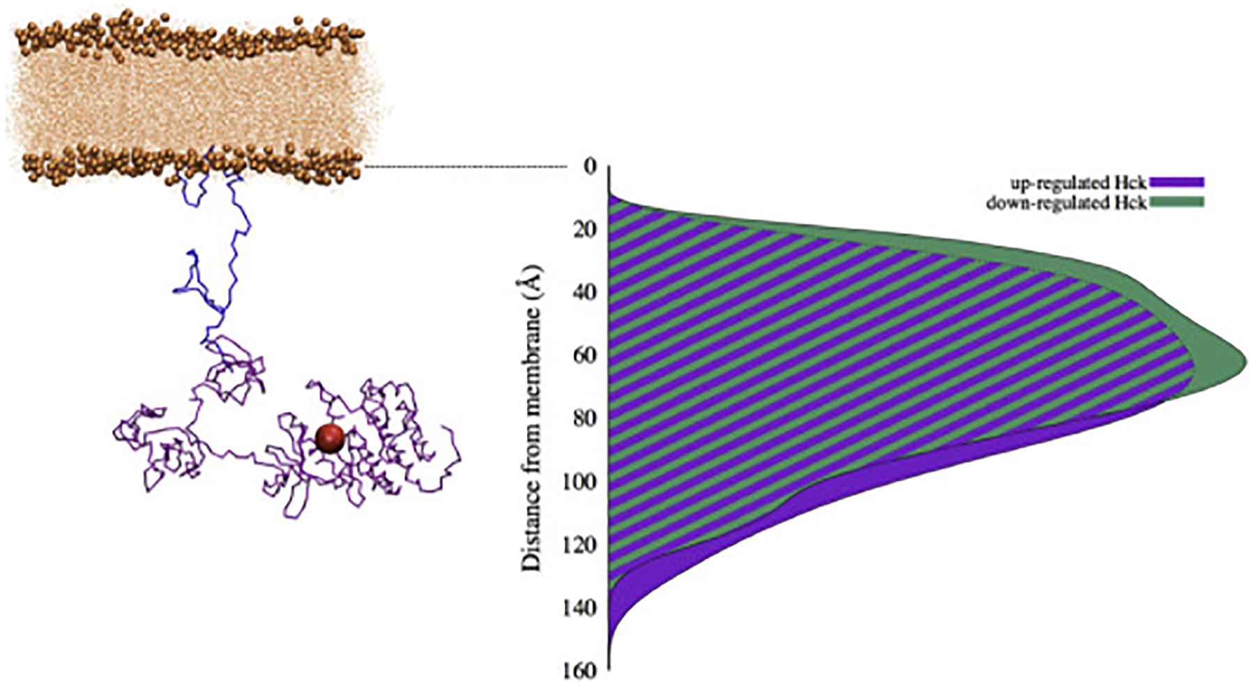 Figure 7: