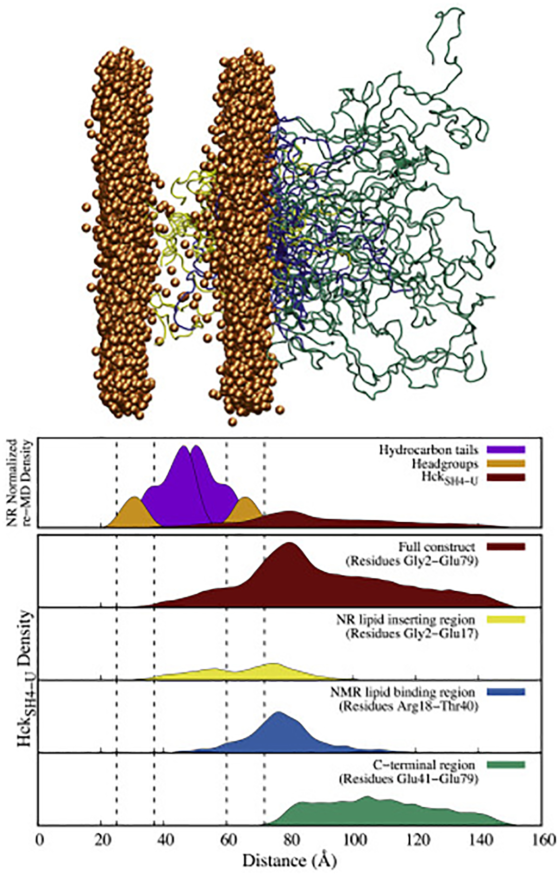 Figure 6: