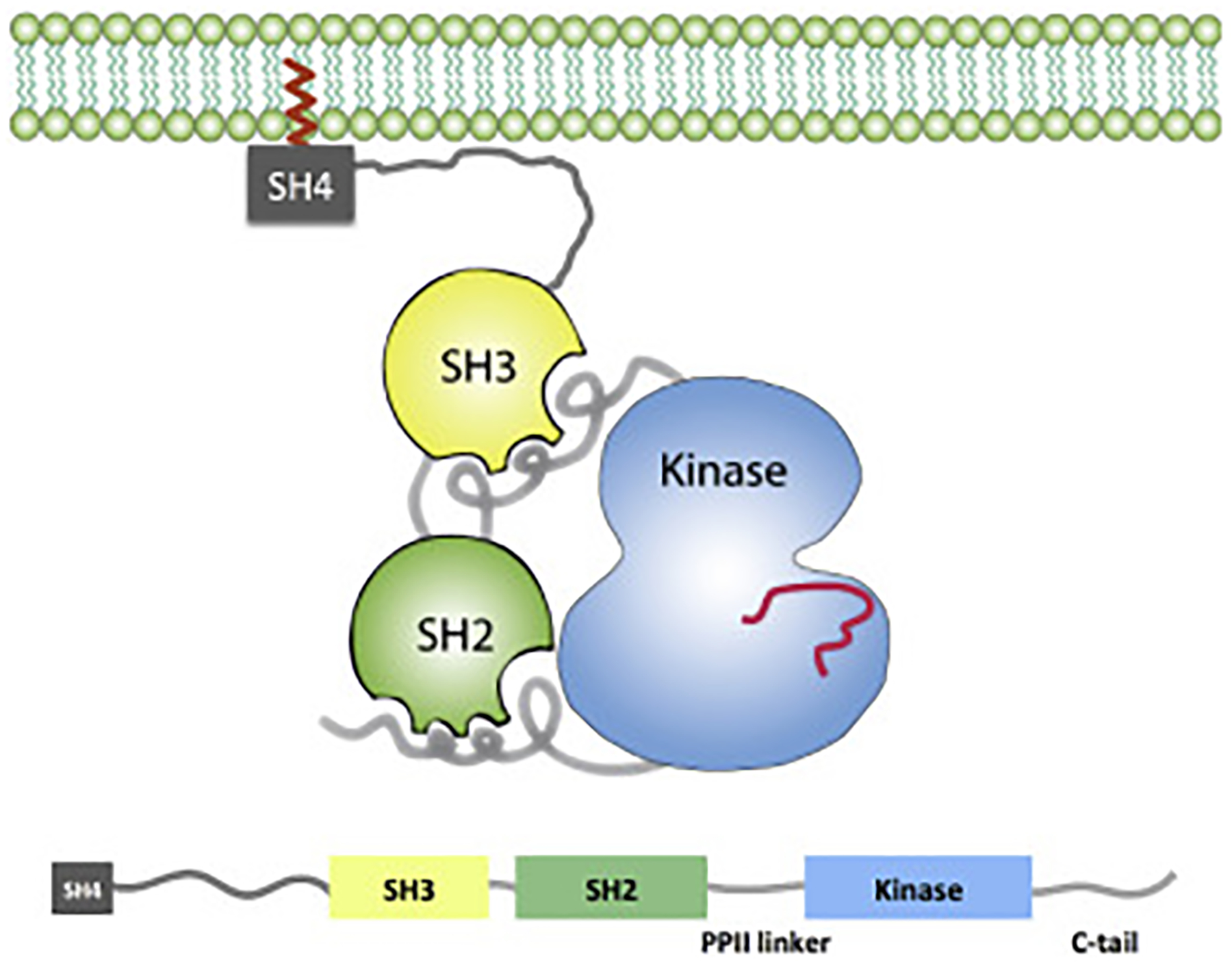 Figure 1: