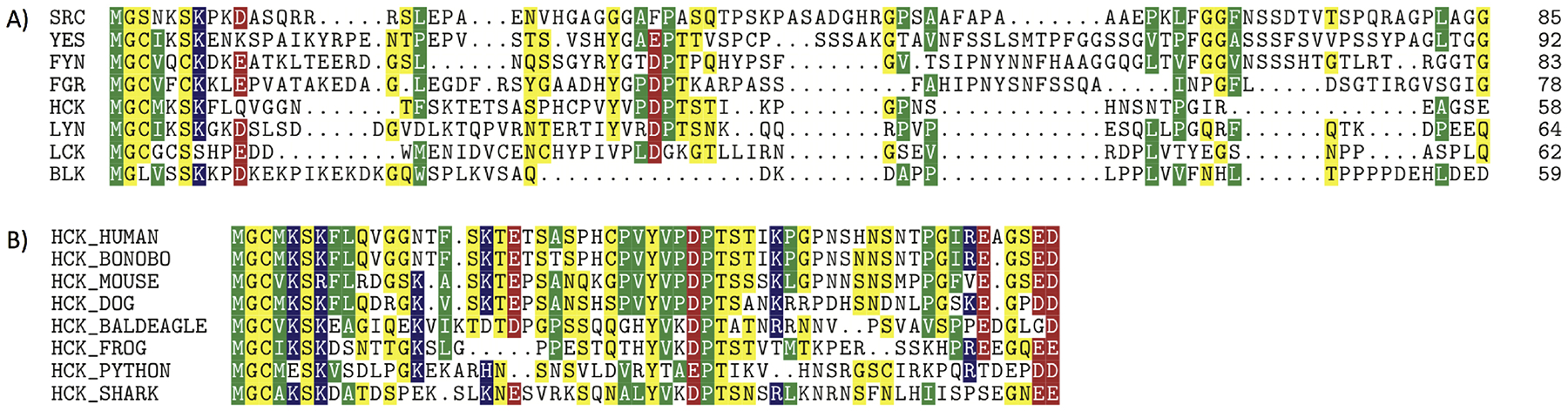 Figure 2: