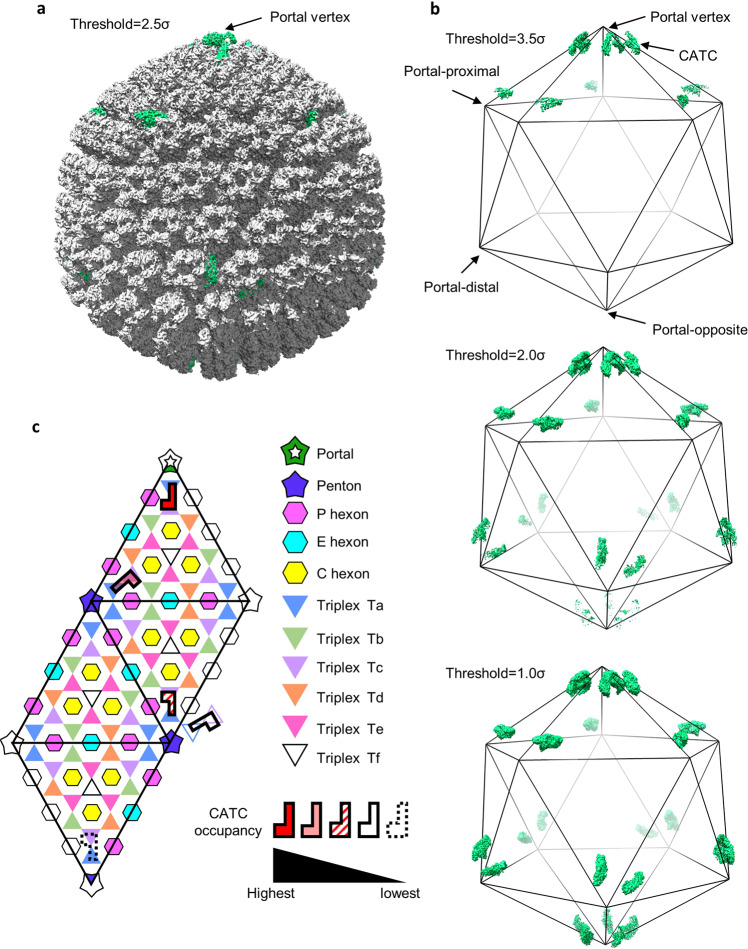 Fig. 4