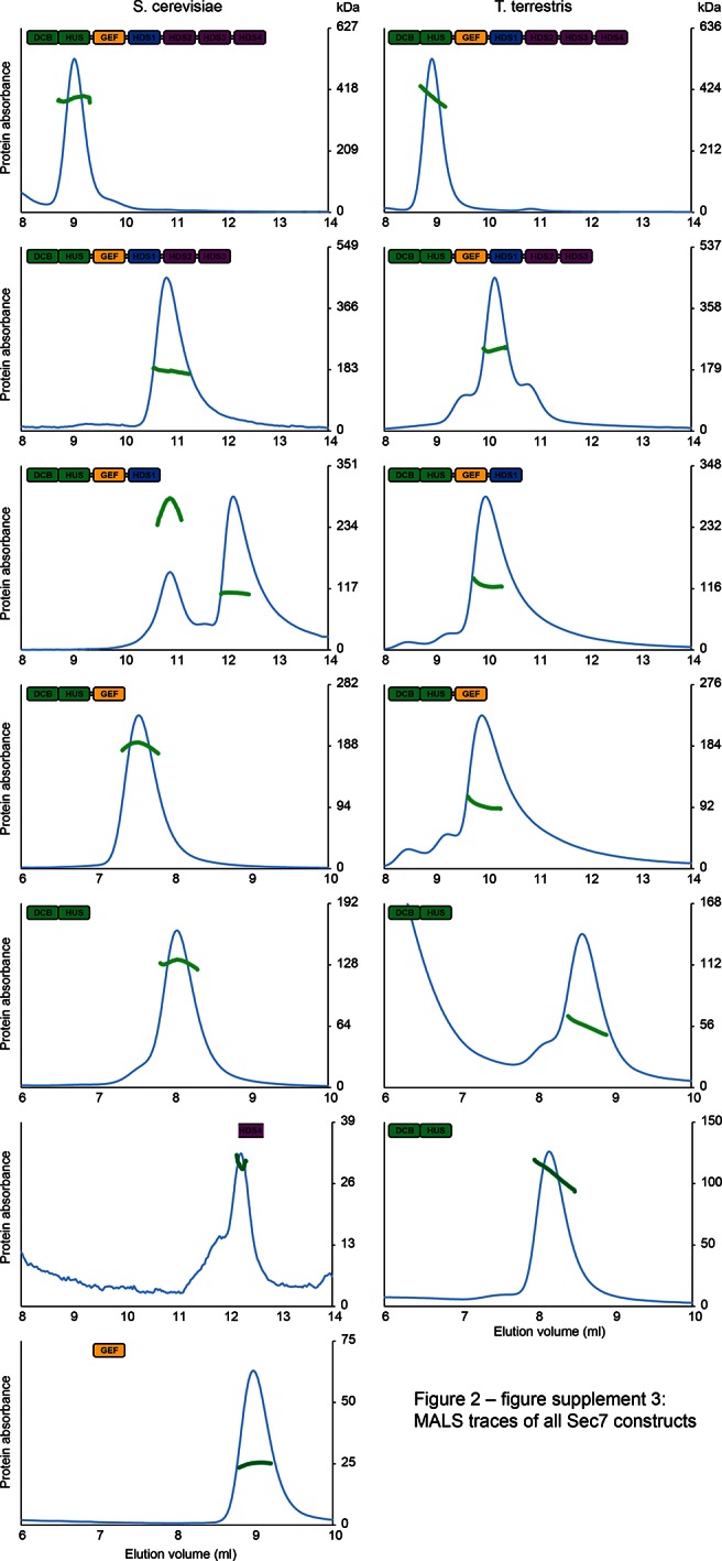 Figure 2—figure supplement 3.