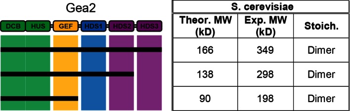 Figure 2—figure supplement 2.