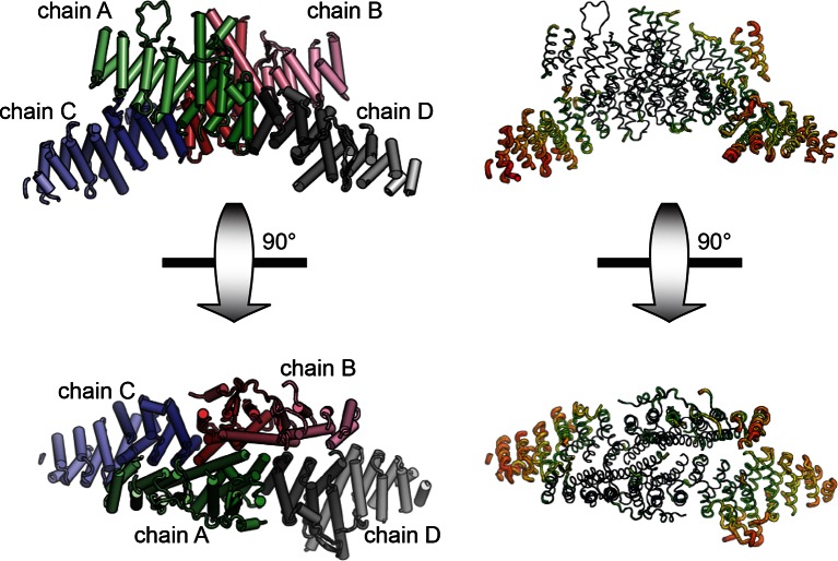 Figure 1—figure supplement 1.