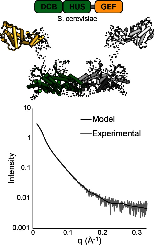 Figure 2—figure supplement 1.