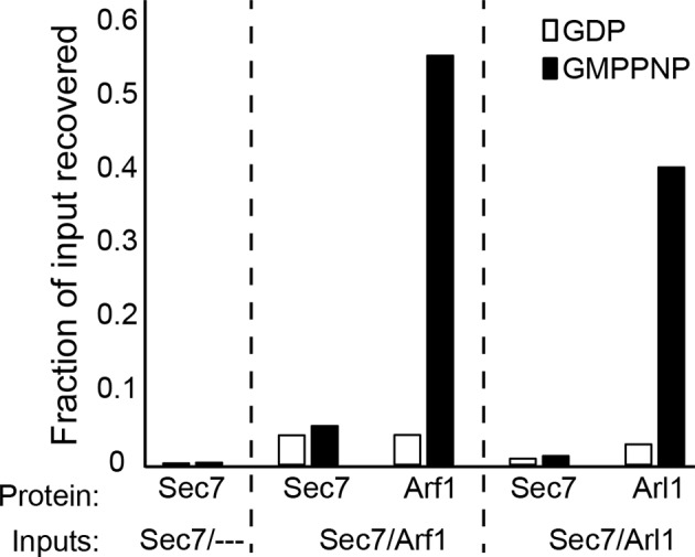 Figure 4—figure supplement 4.