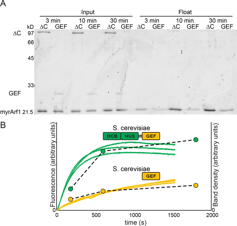 Figure 4—figure supplement 1.