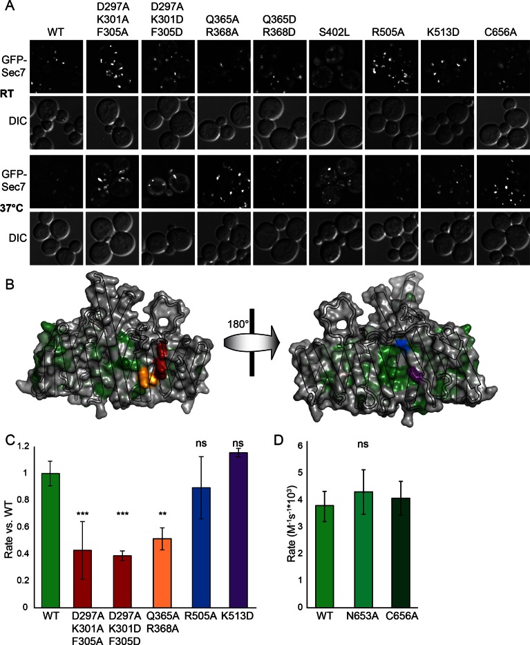 Figure 6.