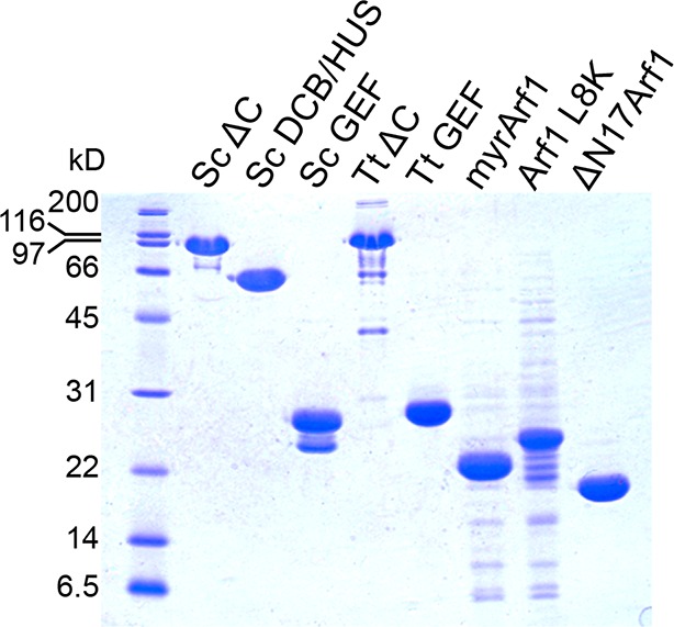 Figure 4—figure supplement 6.