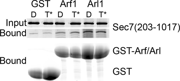 Figure 4—figure supplement 3.