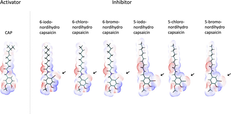 Figure 5—figure supplement 6.