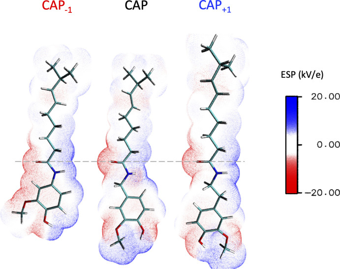 Figure 5—figure supplement 5.