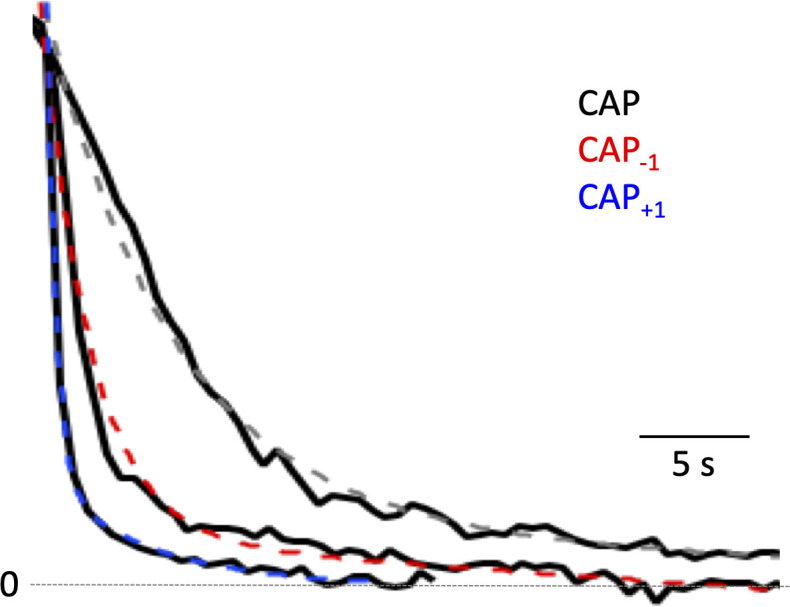 Figure 4—figure supplement 1.