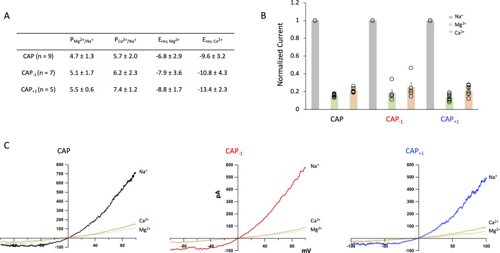 Figure 5—figure supplement 2.