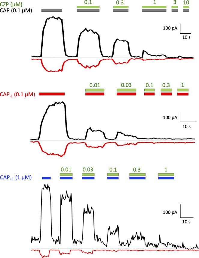 Figure 4—figure supplement 2.