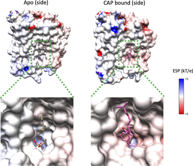 Figure 5—figure supplement 4.