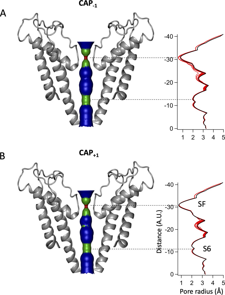 Figure 5—figure supplement 1.