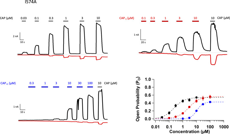 Figure 4—figure supplement 3.