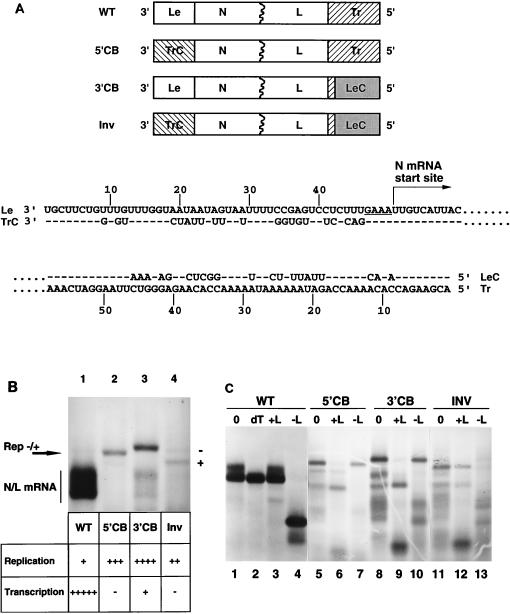 FIG. 1