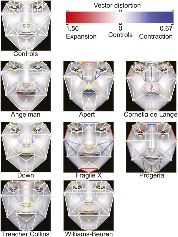 Figure 2—figure supplement 1.