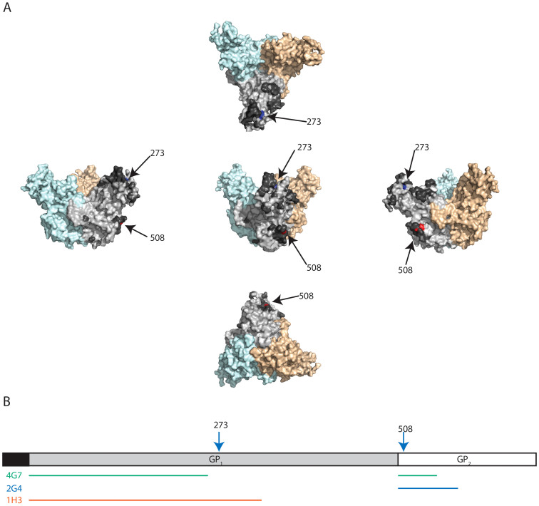 Figure 5