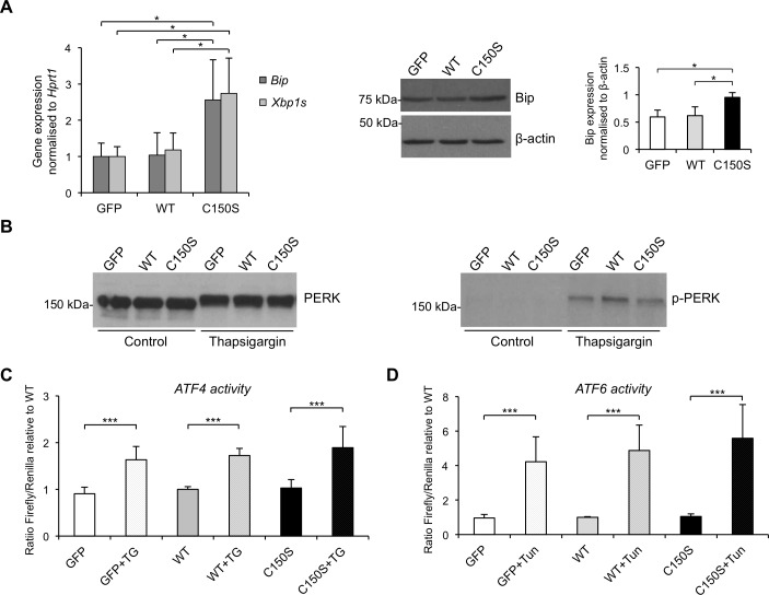 Fig 4