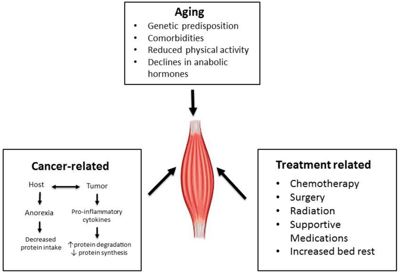 Figure 1: