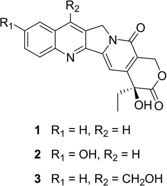 Fig. 1