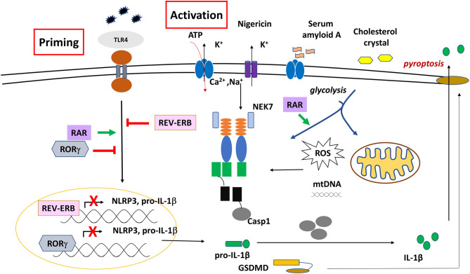 Figure 6