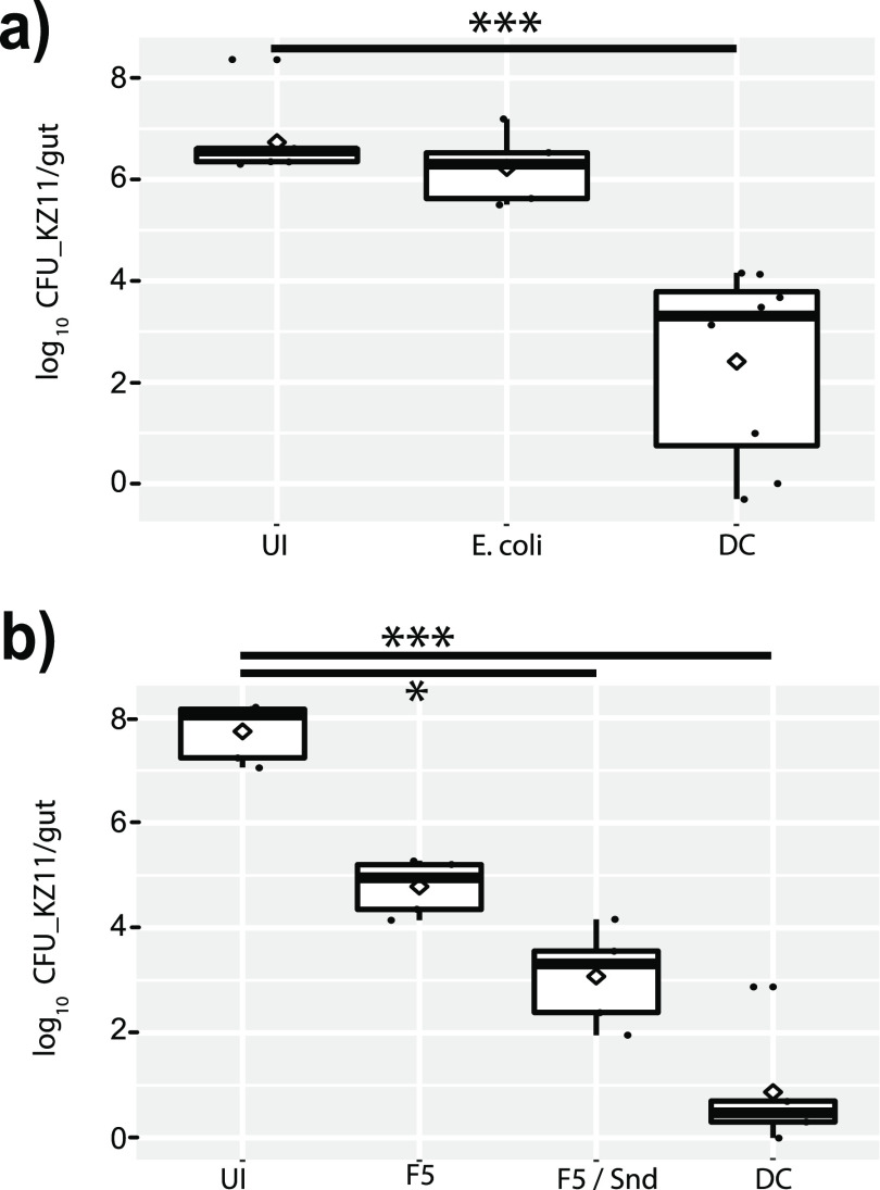 FIG 6