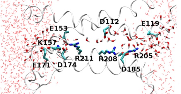 Figure 1.