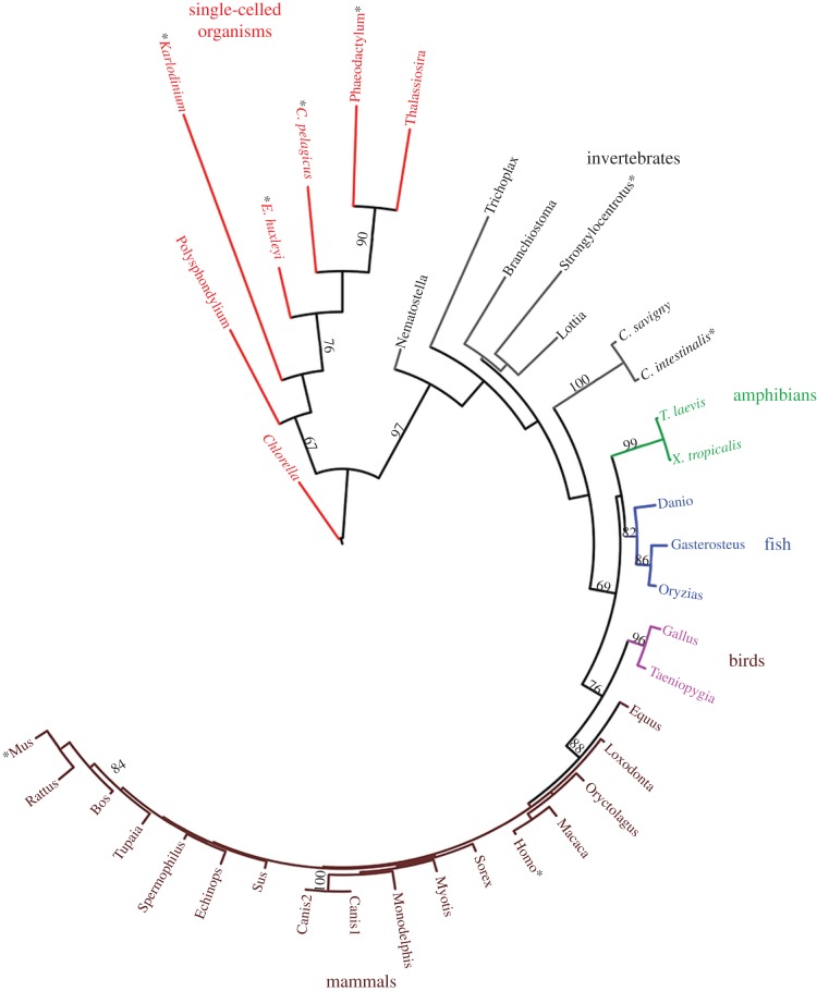 Figure 2.