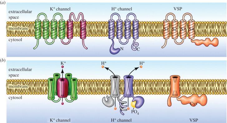 Figure 3.