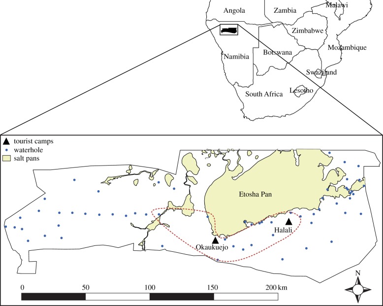 Figure 1.