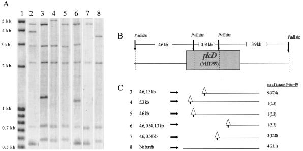 FIG. 1.