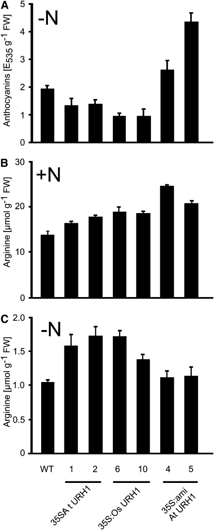 Figure 6.