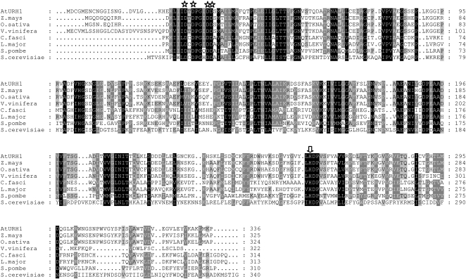 Figure 1.