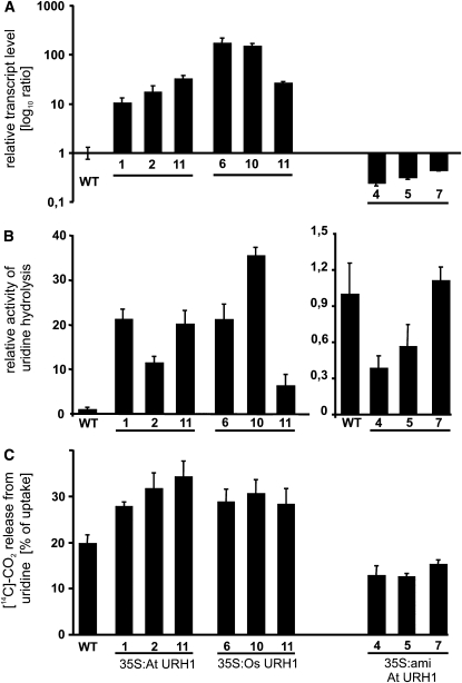 Figure 4.