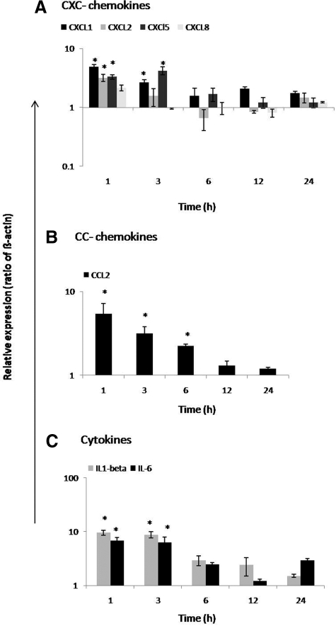 Figure 13