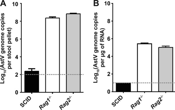 Fig 5