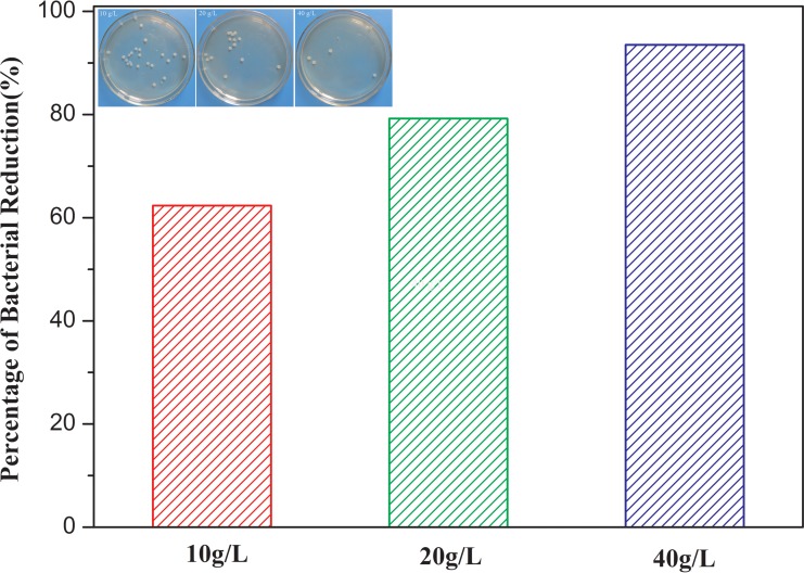 FIG 1