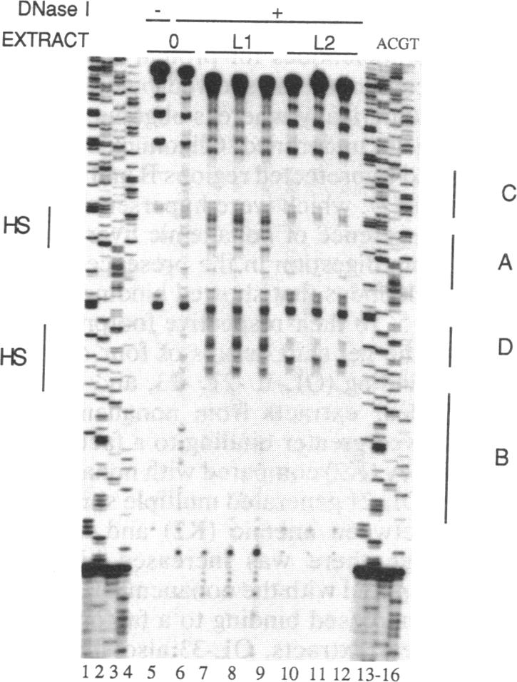 graphic file with name pnas01063-0212-a.jpg