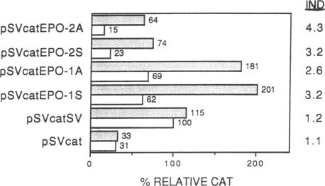 graphic file with name pnas01063-0214-a.jpg