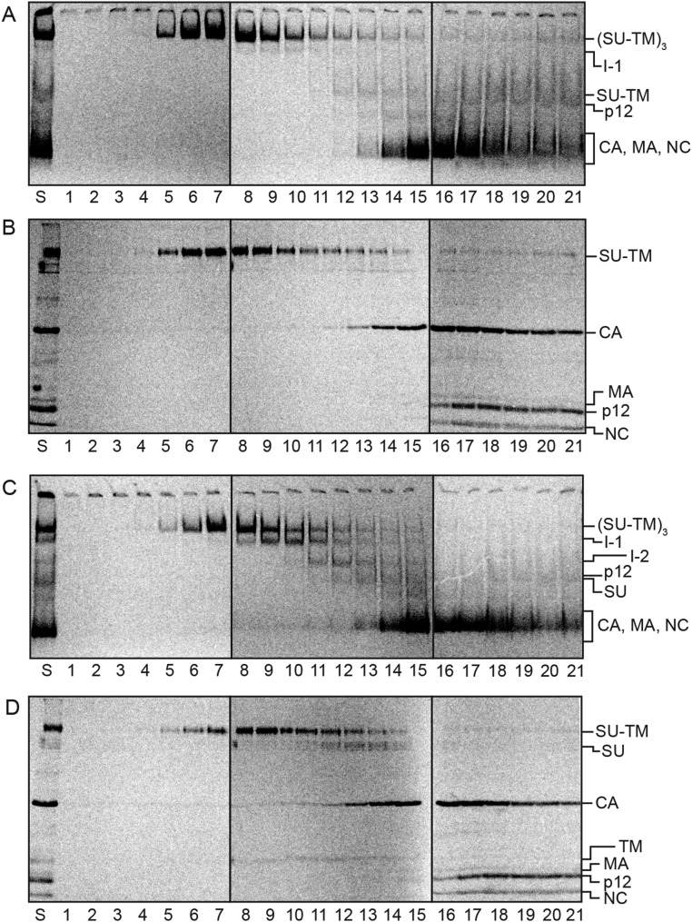 Fig. S4.