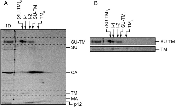 Fig. S5.