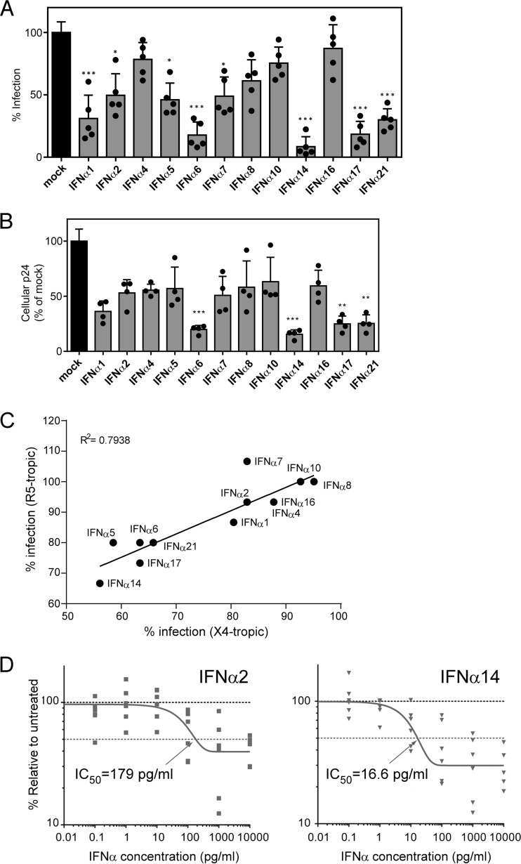 FIG 1