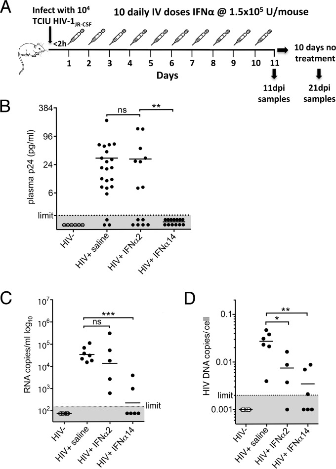 FIG 2