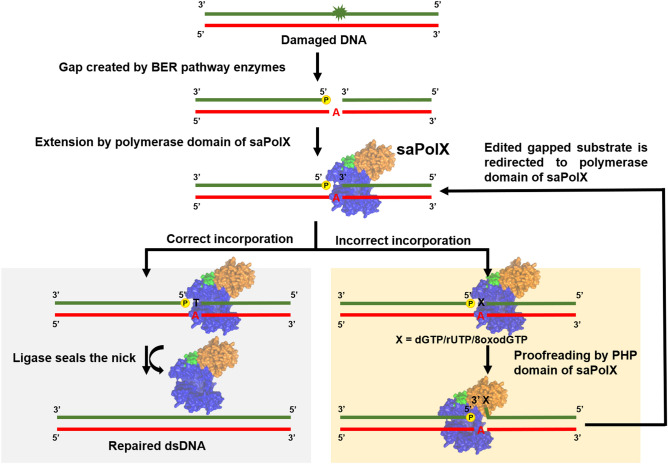 Figure 14