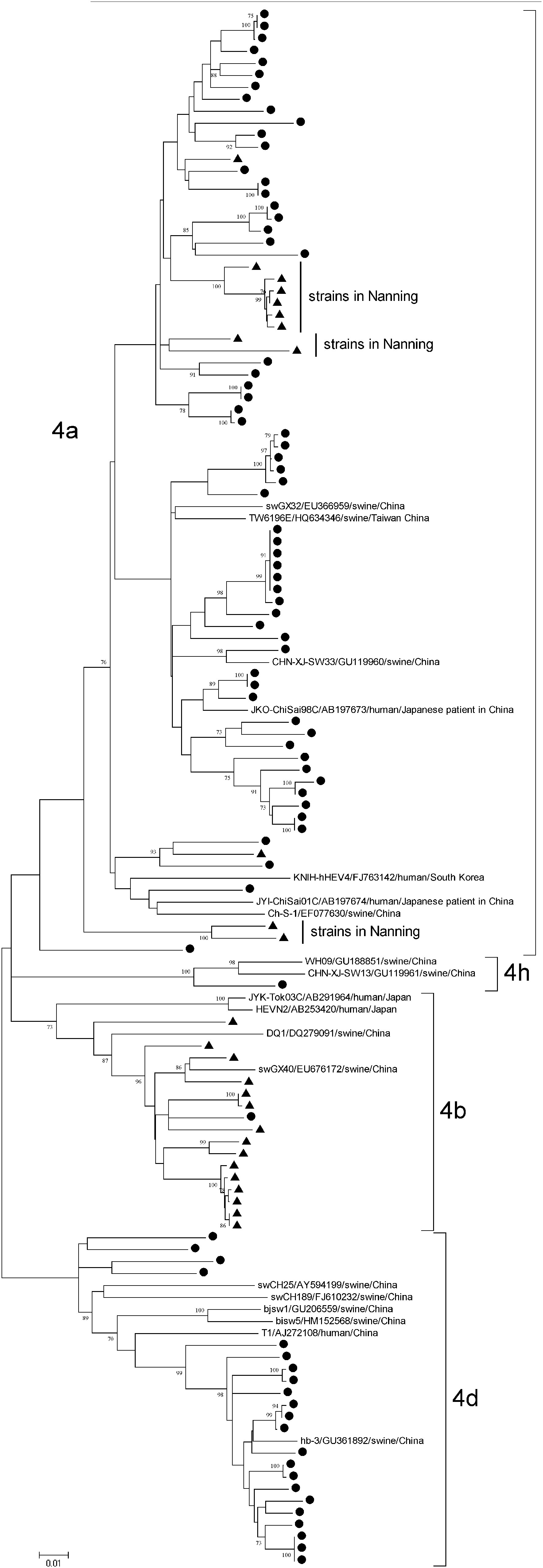 Fig. 3.